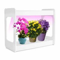 Mini Jardinière Hydroponique avec Lampe de Croissance LED Spectre Complet 50 000 Heures IP65 pour la Culture de Plantes d'Intérieur