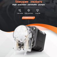 Bomba peristáltica LEFOO PLC Control 24V transporte de líquido viscoso 0-200 ml/min con manguera de silicona de grado alimenticio para venta al por mayor/minorista