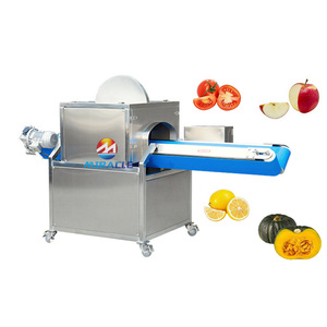 Machine industrielle de découpe en deux des concombres en acier inoxydable, équipement de fendage des concombres pour usine de cornichons et préparation de salades - Product Image 6