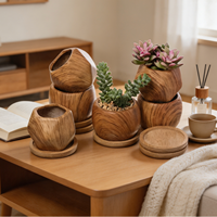 Pots de plantes succulentes pour la décoration intérieure Jardinières créatives Intérieur Extérieur Conteneurs de fleurs Boutique Vitrine Affichage Ornements