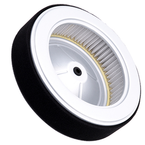17210-Z6L-010 Accessoires Moto <span class=keywords><strong>Filtre</strong></span> <span class=keywords><strong>À</strong></span> <span class=keywords><strong>Air</strong></span> Pour <span class=keywords><strong>Honda</strong></span> GX630 GX660 GX690 R RH GX700 GX800 IRH Moteurs <span class=keywords><strong>Tondeuse</strong></span> <span class=keywords><strong>À</strong></span> Gazon - Product Image 3
