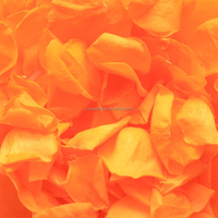 Rozen Eeuwige Rozenblaadjes Voor Altijd Rozen Voor Bruiloft Confetti Deco Geconserveerde Planten En Bloemen Bloemblad Biologisch Afbreekbaar Groot Formaat Y