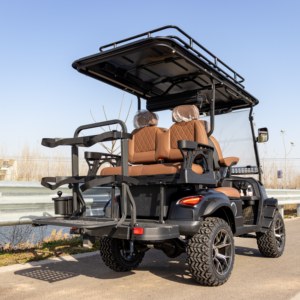 Carrito de <span class=keywords><strong>Golf</strong></span> Eléctrico Maytop de 14 Pulgadas con Neumáticos Todoterreno, Homologado para Calle, <span class=keywords><strong>Precio</strong></span> Económico, 60v, 4 Plazas - Product Image 2
