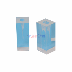 Dentale Pratica di Formazione di Blocchi di Due <span class=keywords><strong>Root</strong></span> <span class=keywords><strong>Canal</strong></span> Endo Endodonzia Studente Modello di Insegnamento Odontoiatria - Product Image 3