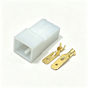 Connecteur de câblage électrique mâle 2 broches DJ7029-6.3-11 180924-5, borne de connexion automobile - Product Image 1