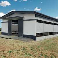Design moderne, poulailler à structure en acier à bas prix, hangar à poulets préfabriqué, poulailler écologique