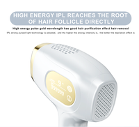 Épilateur laser portatif IPL avec technologie Cool Ice Épilation indolore du corps pour un usage domestique
