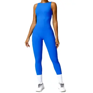 2024 패션 도매 요가 원활한 원피스 전체 여성의 체육관 피트니스 점프 슈트 스포츠 바디 슈트 운동복 요가 착용