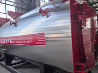 Caldera de vapor industrial WNS para petróleo/gas/GLP, Seguridad: Alarma de baja presión de agua/sobrepresión/extinción de llama, para cervecerías/goma/farmacéutica/industria de la construcción