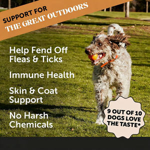 Friandises à Mâcher Probiotiques pour Chiens : Soutien Naturel de la Pelage avec Graines de Lin, Oméga-3 et Levure de Bière pour une Santé Quotidienne - Product Image 3