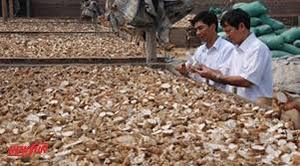 มันสำปะหลังอบแห้งหั่นเป็นแผ่นสีขาว 100% ผลผลิตใหม่ บรรจุภัณฑ์แบบขายส่ง ไดเอินบีเอน เวียดนาม อายุการเก็บรักษา 2 ปี - Product Image 5