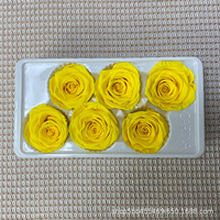 Têtes de roses stabilisées de 5-6 cm, roses éternelles préservées pour la décoration