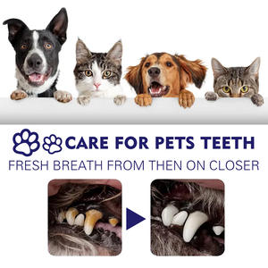 Wholesale 60g Pet Oral Care Whitening Gentle Remove Plaque Fresh Breath Home Use Dental Care <b>Toothpaste</b> for Dogs and Cats - Product Image 5
