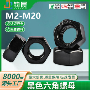 น็อตหกเหลี่ยมสแตนเลสเคลือบสีดำ M2-M20 อุปกรณ์ยึดสกรู - Product Image 5
