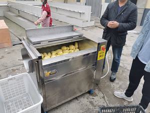 Pelador <span class=keywords><strong>de</strong></span> patatas <span class=keywords><strong>de</strong></span> tamaño pequeño con cepillo para limpiar y pelar patatas y rábanos - Product Image 6