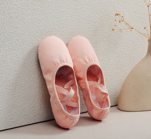 Zapatos de <span class=keywords><strong>Ballet</strong></span> de moda para mujer, zapatos elásticos de lona para niñas, zapatos de baile de <span class=keywords><strong>Ballet</strong></span> de suela blanda, zapatos planos de <span class=keywords><strong>Ballet</strong></span> con garra de gato para Yoga profesional - Product Image 5