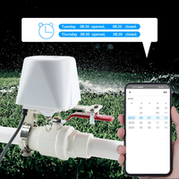 Vanne d'eau intelligente WiFi/Zigbee, vanne de gaz compatible Wi-Fi avec Alexa Google Home, contrôleur d'arrêt