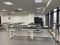 Table de laboratoire en fer VitalLab à prix abordable, design simple, évier intégré, résistante aux alcalis, revêtement en poudre époxy, moderne, mobile, structure en H, 2 places