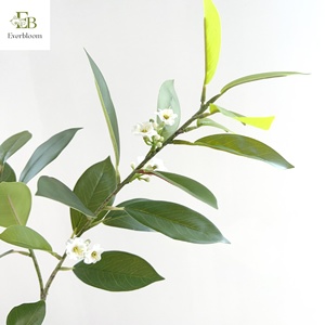 Nouvelle Arrivée Everbloom Feuilles Artificielles de Fagraea Ceilanica en Latex, <span class=keywords><strong>Jasmin</strong></span> Africain 80cm, Écologiques pour Mariages et Événements - Product Image 2