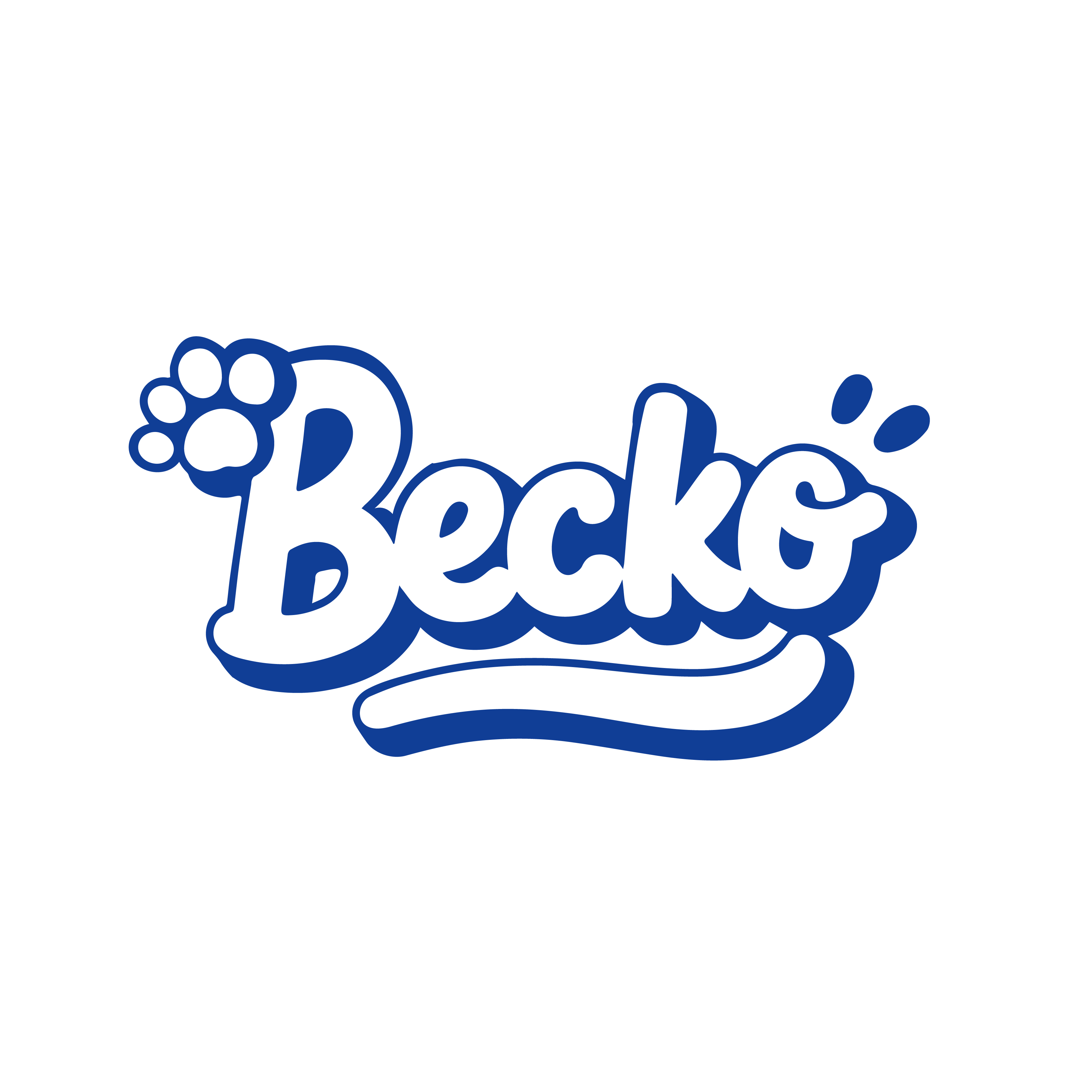 Yueyang County Becko Intelligent Technology Co., Ltd. logo