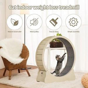 Rueda de Ejercicio para Gatos, Juguete Interactivo para Gatos, Rueda de Correr Grande para Gatos con Pista Alfombrada, Artículos para Mascotas - Product Image 3