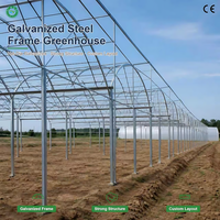 Serre commerciale multi-travées à arche, à faible coût, directement de l'usine, avec ventilation enroulable pour la culture de tomates et de légumes