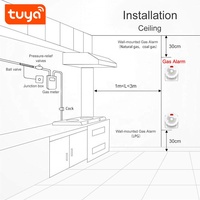 Chine Fabricant UE/UK/US Sans Fil WiFi Tuya Smart Capteur De Gaz PST-RQ400A