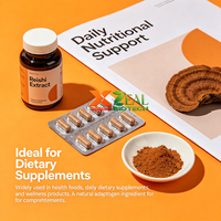 Extracto de Hongo Reishi, Polvo de Ganoderma Lucidum 4:1 10:1 20:1 50:1, Polisacárido 10%-50%, Triterpeno 1%-10%, Materia Prima Alimentaria