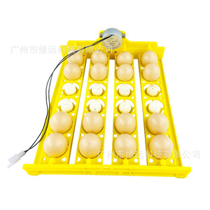Automatic <b>Egg</b> Incubator 16 24 <b>Eggs</b> ABS Plastic Chicken Farm Laboratory Use With Auto Turning Tray - Product Image 4