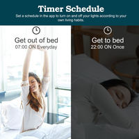 Interrupteur intelligent Zigbee 16A avec haute capacité de charge pour les appareils électriques de grande puissance, module relais Tuya Smart Life