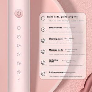 Dispositivo de Limpieza Dental Sónico Inteligente Automático Recargable para Adultos con Cerdas Suaves y Esterilización, Venta al Por Mayor - Product Image 1