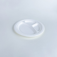 Assiettes jetables en bagasse blanches de 9 pouces, biodégradables, écologiques, naturelles et compostables, pour les fêtes