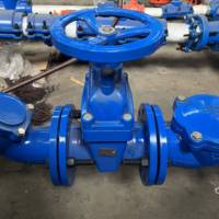 Dn50 dn65 dn80 dn100 dn125 dn150 vannes à joint souple standard allemand prix