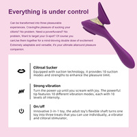 Jouets sexuels - Brosse 3-en-1 - Stimulation du clitoris et massage du point G - Vibrateur avec modes - Matériel ABS et silicone - Convient aux jouets sexuels féminins
