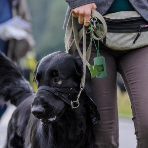 Distributeur de sacs à déjections pour animaux de compagnie réutilisable pour extérieur, modèle 2026, avec 1 rouleau de sacs à déjections pour chiens (15 sacs) - Product Image 6