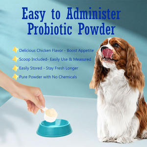 Настраиваемые пробиотики, порошковые добавки для собак и кошек, поддержка здоровья кишечника для пищеварительной системы, оптовая продажа, уход за домашними животными - Product Image 5