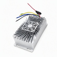 Convertisseur DC-DC non isolé 48V 60V 72V 96V 120V vers 12V 80A 960W, module abaisseur de tension pour alimentation de véhicule électrique