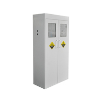 Armoire de laboratoire intelligente tout acier pour bouteilles de gaz avec alarme, sécurité acétylène hydrogène, anti-explosion, verrouillage à clé