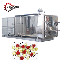 Vacuümdroger Fruitgroente Voedsel Drogen Vriesdroogapparatuur