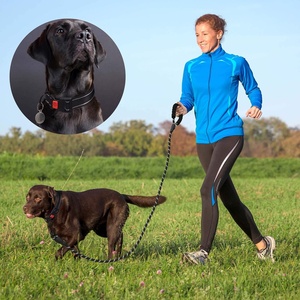 <span class=keywords><strong>Collar</strong></span> y Correa de Entrenamiento para Perros Duraderos para Exteriores, Collares de Lujo para Perros, Correas para Gatos, Suministros para Mascotas para el Entrenamiento de Cachorros, Correr y Caminar - Product Image 4