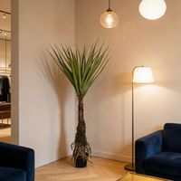 Palmiers artificiels de Pandanus de 205 cm, aspect naturel, qualité supérieure, pour la décoration de la maison, du jardin et des salles d'exposition, plantes en pot de Pandanus artificielles.