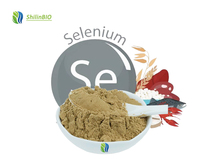 Poudre de levure enrichie en sélénium de qualité alimentaire 2000 PPM, extrait végétal en bouteille