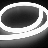 Lumière néon LED ultra-fine haute puissance, lumières de Noël personnalisées, indice de protection IP66, dimmable, Art Déco, angle de faisceau 280°, 50 000 heures