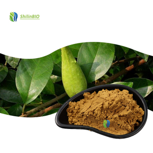 Extrait de feuilles de Gymnema Sylvestre en poudre de qualité alimentaire SLBIO 10:1 20:1 - Product Image 3