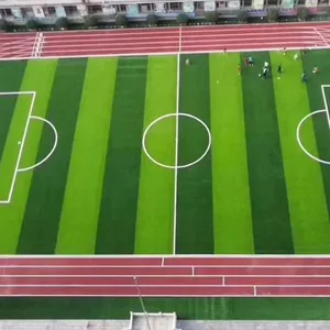 Mẫu miễn phí 3G Ấp Ủ bóng đá nhân tạo sân cỏ cho sân bóng đá
