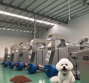 Essiccatore a Nastro Professionale Cinese per Foglie di Lovage, Rametti di Tarassaco e Foglie di Aneto - Product Image 1