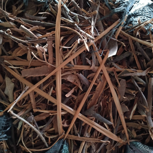 Mayorista canela Cassia en polvo al mejor precio 2023 - Product Image 1