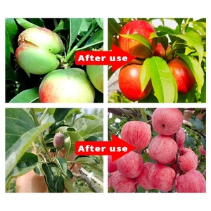 <span class=keywords><strong>ปุ๋ย</strong></span>ธาตุปานกลาง <span class=keywords><strong>โบรอน</strong></span> <span class=keywords><strong>แคลเซียม</strong></span> และแมกนีเซียม <span class=keywords><strong>ปุ๋ย</strong></span>อินทรีย์ละลายน้ำได้ <span class=keywords><strong>ปุ๋ย</strong></span>อินทรีย์ - Product Image 3