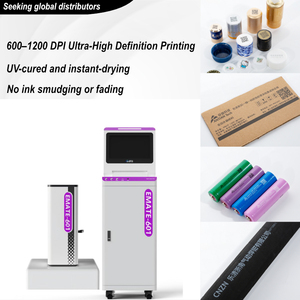 PIJ UV喷墨打印机工业标签复卷机，带PIJ可变数据喷墨打印机 - Product Image 5