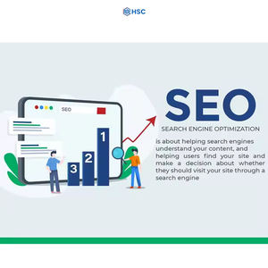 Expertos líderes en SEO y marketing digital que ofrecen un servicio completo de optimización de páginas con soluciones en línea confiables - Product Image 5